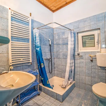 Guest house Apartments Lucica 3119