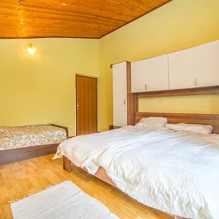 Guest house Apartments Lucica 3119 3*